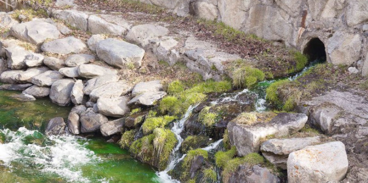 El riu Valira el dia que va aparèixer de color verd pel colorant a la Font d’Arinsal, que va generar una fotodenúncia.