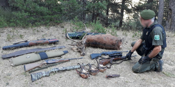 Imatge d’algunes de les armes utilitzades en caces il·legals.