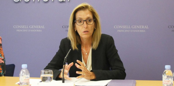 La consellera general del grup parlamentari demòcrata Patrícia Riberaygua.
