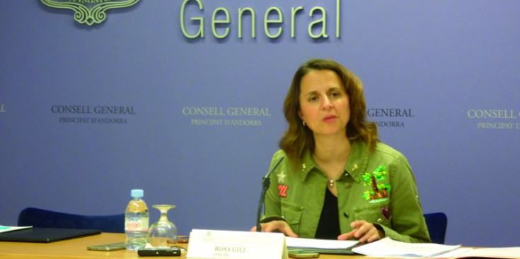 La consellera general del PS Rosa Gili ahir durant la roda de premsa.
