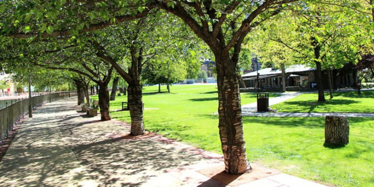 Una imatge del Parc Central, sense la tanca que delimitava la zona verda i el passeig del riu.