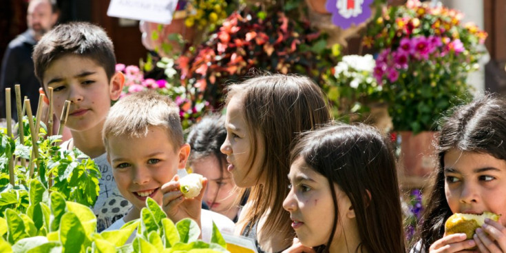 Un grup de nens olora flors.