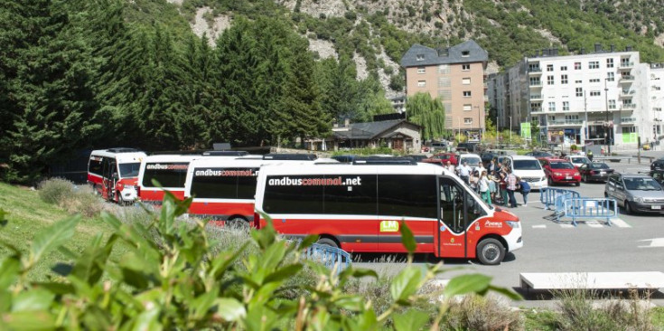 Diversos vehicles del nou bus comunal de la capital.