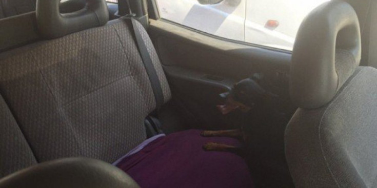 El gos rescatat fa uns dies de l’interior d’un cotxe a Tarragona.
