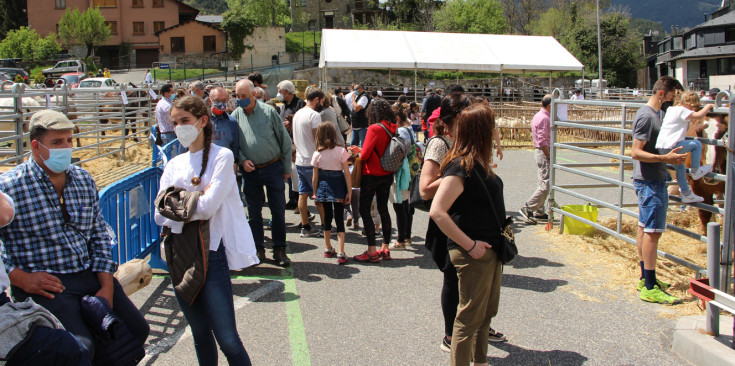 El públic assistent a la fira del bestiar d'Ordino.