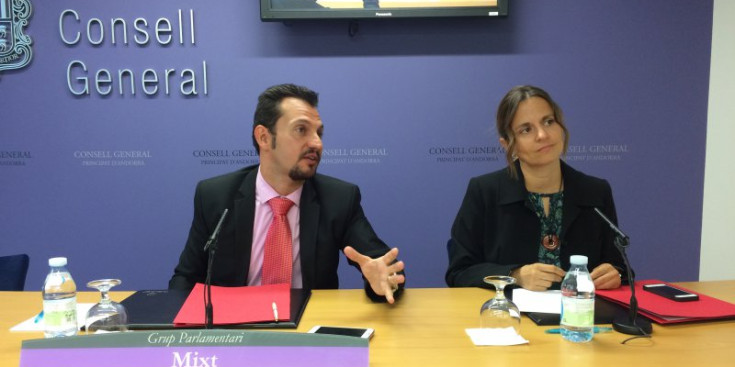 Gerard Alís i Rosa Gili exposen el seu neguit sobre el cas BPA al Consell General, ahir.
