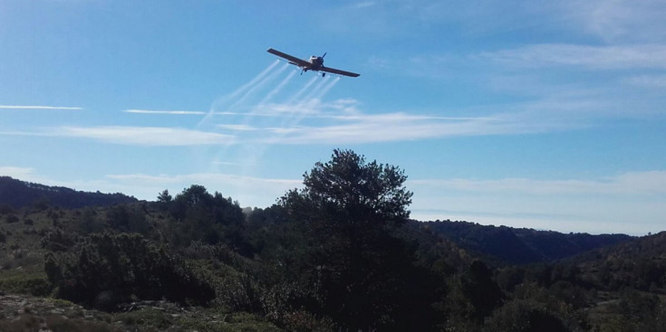 Un avió fumigant la setmana passada a l’Alt Urgell.