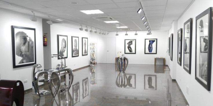 Exposició de Miquel Arnal a Deco-Art Gallery V.I.P.