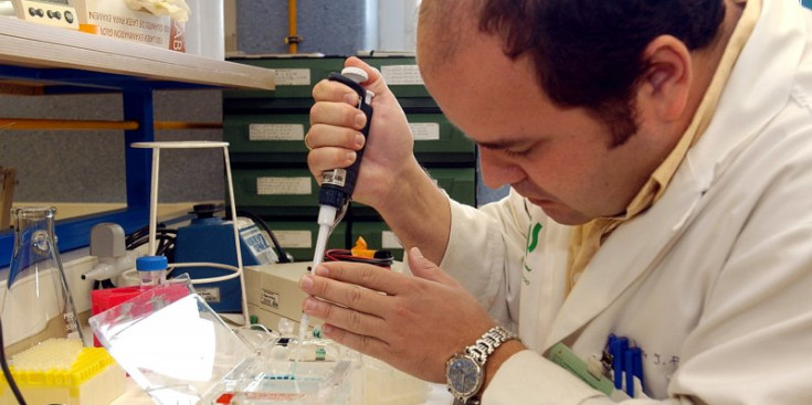 Un investigador treballa al seu laboratori.
