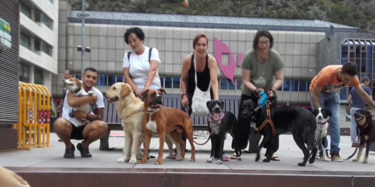 Propietaris i els seus gossos a la plaça del Centre de Congressos de Sant Julià de Lòrria.